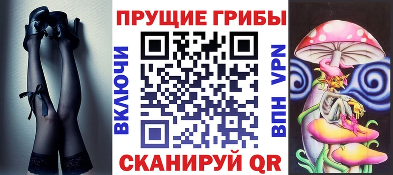 закладки  Юрюзань  Галлюциногенные грибы Psilocybine cubensis 